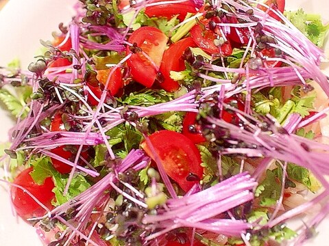青パパイアと紫キャベツの新芽のエスニック風サラダ